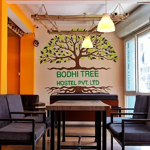 Bodhi Tree Hostal
